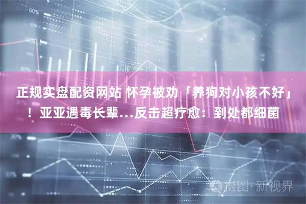 正规实盘配资网站 怀孕被劝「养狗对小孩不好」！亚亚遇毒长辈…反击超疗愈：到处都细菌