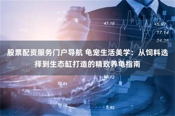 股票配资服务门户导航 龟宠生活美学：从饲料选择到生态缸打造的精致养龟指南
